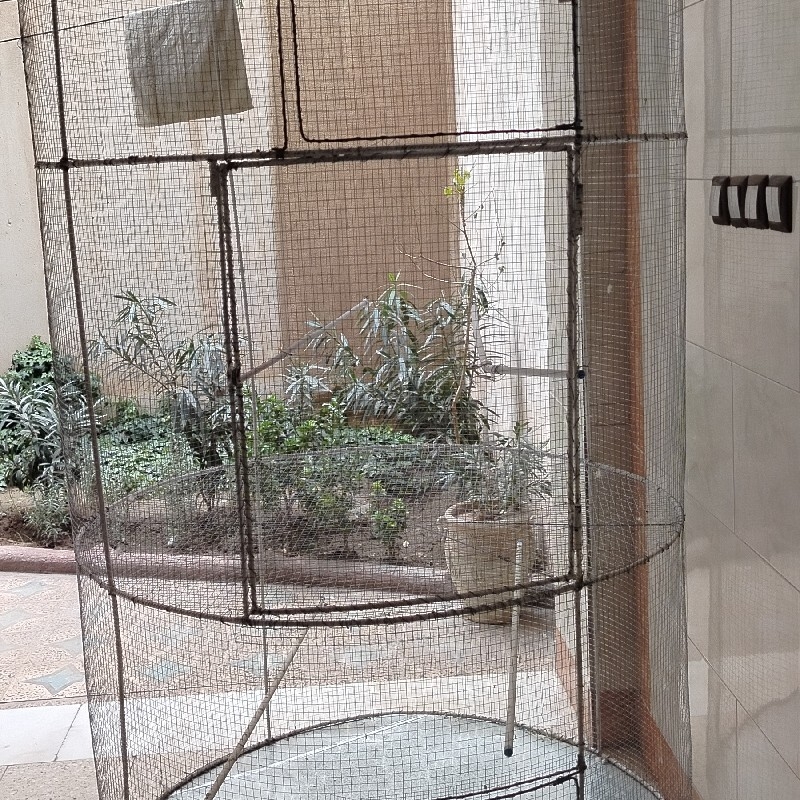 فروش قفس پرنده