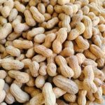 ممپلی ومغز ممپلی تازه