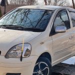موتر ویتز ۲۰۰۴ نو وارد