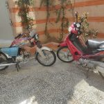 فروش سکیل سونتی
