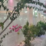 کاشی کاری و نما