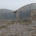 گلخانه فروشی