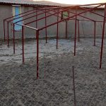 برا پرورش گوسفند و بره.بازدید استان ایلام