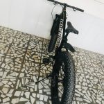 فروش بایسکل طایر دبل امریکایی