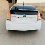 فروش پریوس خانگی