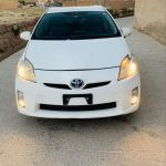 فروش پریوس خانگی
