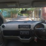 پاسو مدل 2010