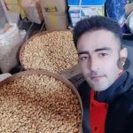 شور کار آجیل بریانی میوه خشک پسته بادام کاجو فندق تخم آفتابگردان تخم کدو