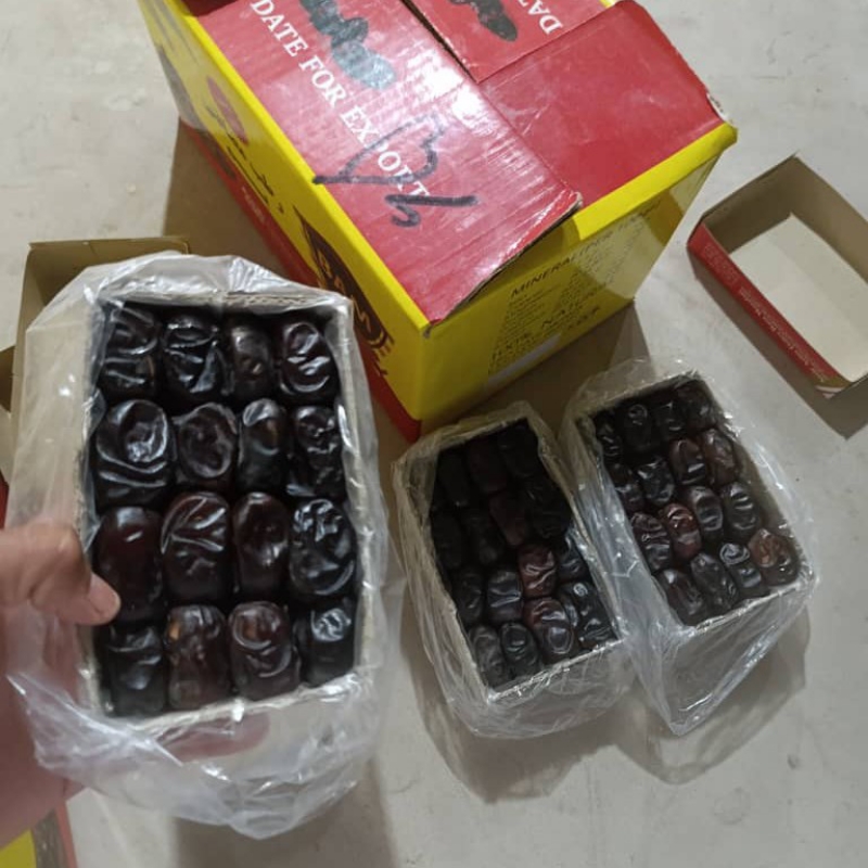 باسلام شراکت در خرما مضافتی بم