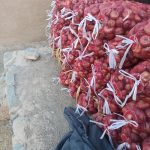فروش پیاز