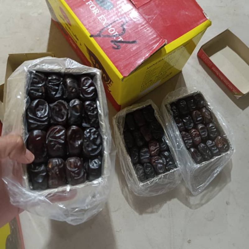 باسلام همکاری در خرما مضافتی بم