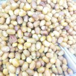 فروش خرما