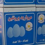 سلام تخم مرغ مروارید  پروتئین