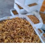 کشمش ابگیری و خوراکی انواع کشمش سبز و سیاه صادراتی
