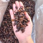 کشمش ابگیری و خوراکی انواع کشمش سبز و سیاه صادراتی