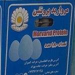 سلام تخم مرغ مروارید  پروتئین