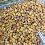 فروش خرما