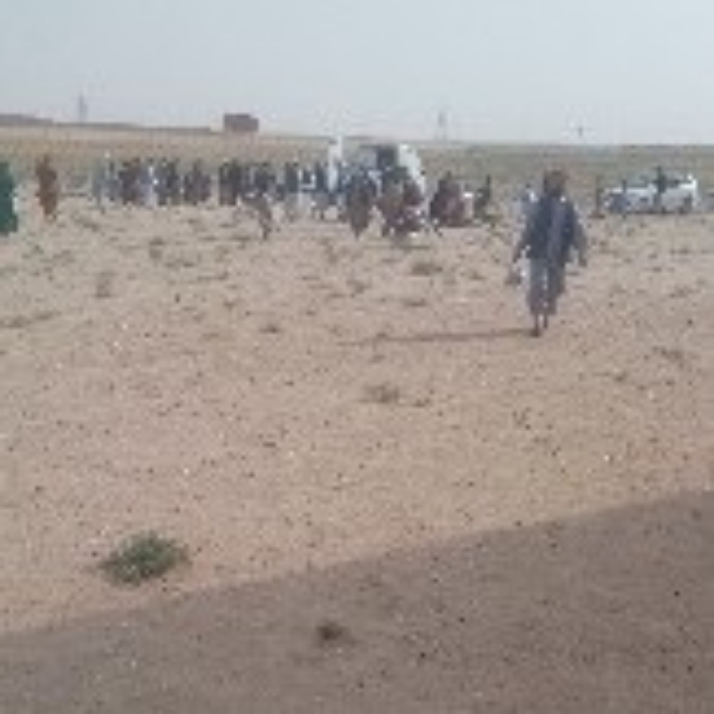 يک جریب زمین