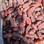 انواع خرما قصب زاهدی رطب پیارم مجول خاصویی کبکاب