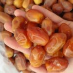 انواع خرما قصب زاهدی رطب پیارم مجول خاصویی کبکاب