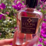 LEATHER WOOD – بوی پول، بوی قدرت، بوی ثروت 💎🔥💰این پرفیوم دقیقا همون عطریه که وقتی می‌زنی، انگار موج قدرت و پول وارد زندگیت می‌شه 😍💰رایحه‌ی چرمیِ گرم و تلخش یه حس لاکچری می‌ده که فقط آدم‌های موفق دارنش ✨🔥از همون اولین اسپری که چرم و اسطوخودوس می‌شینه، یه انرژی شیک و جذاب تو فضا پخش می‌شه 💎نت‌های بادام تلخ و وانیل یه جذابیت مغناطیسی می‌سازن که آدم‌ها رو سمتت می‌کشه 😮‍💨❤️و پایانش با تونکا، چوب سفید و عنبر، یه امضای عمیق و ثروتمندانه روی پوستت می‌ذاره 💰✨این دقیقا بوی آدمای موفقه…اونایی که حضورشون حرف برای گفتن داره 💼🔥اونایی که پول، موقعیت و احترام خودش میره سمتشون 💎💰LEATHER WOOD بوی پول میده…بوی ثروت…بوی کسی که مسیرش همیشه رو به بالاست 🔥💰✨