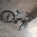 باسکیل کم کار همه چیز سالم