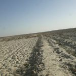 یک قطعه زمین فروش در مزار شریف