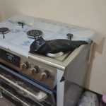 اجاق گاز پنج شعله صفر