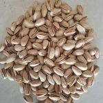 صادرات و واردات پسته ایرانی