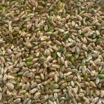 صادرات و واردات پسته ایرانی